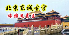 插逼鸡巴舔中国北京-东城古宫旅游风景区